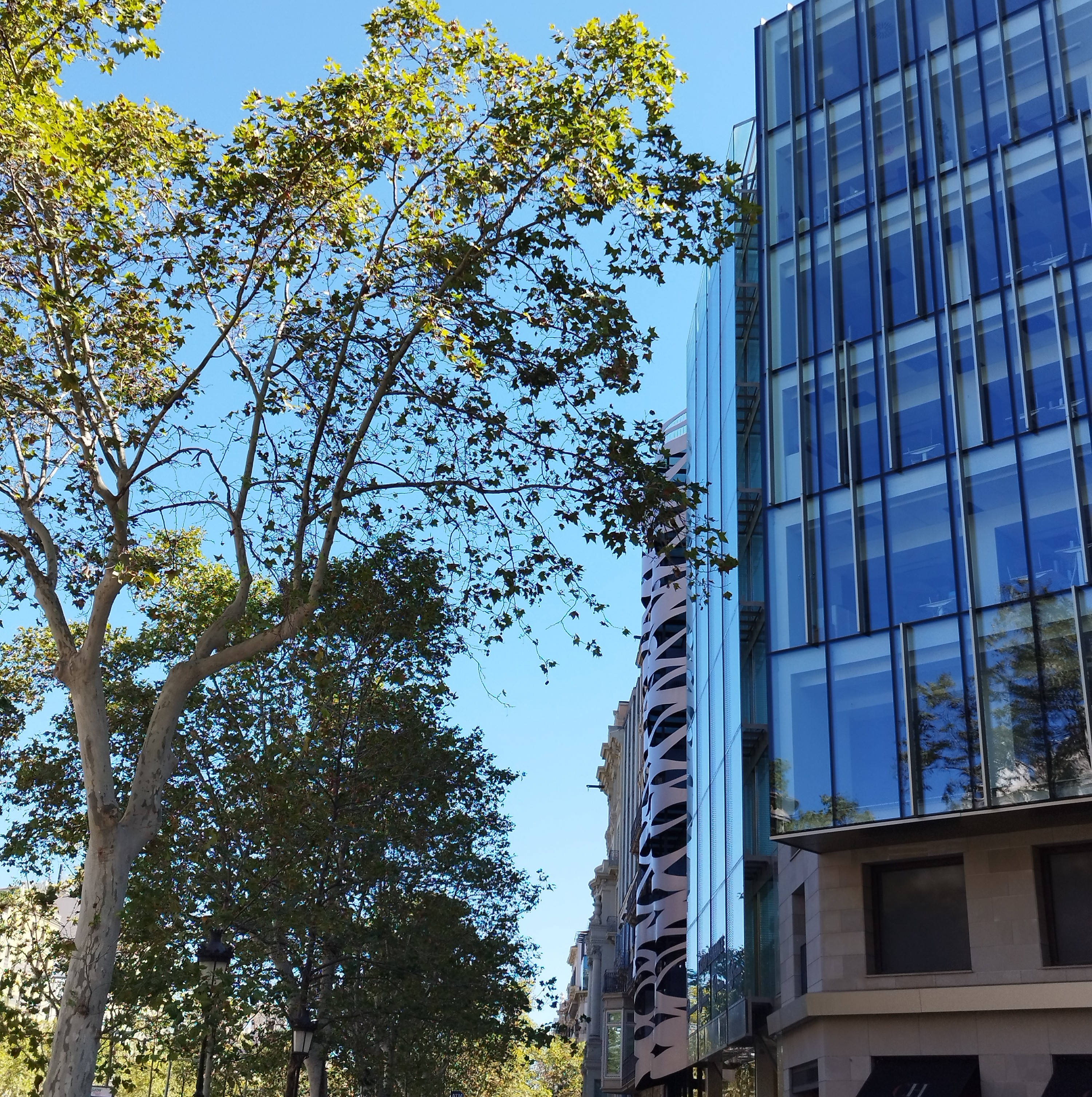 ASESORÍA - EMPRENDIMIENTO